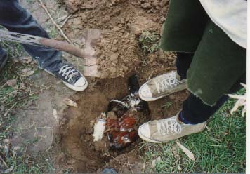 Entombed in Mother Earth and beer